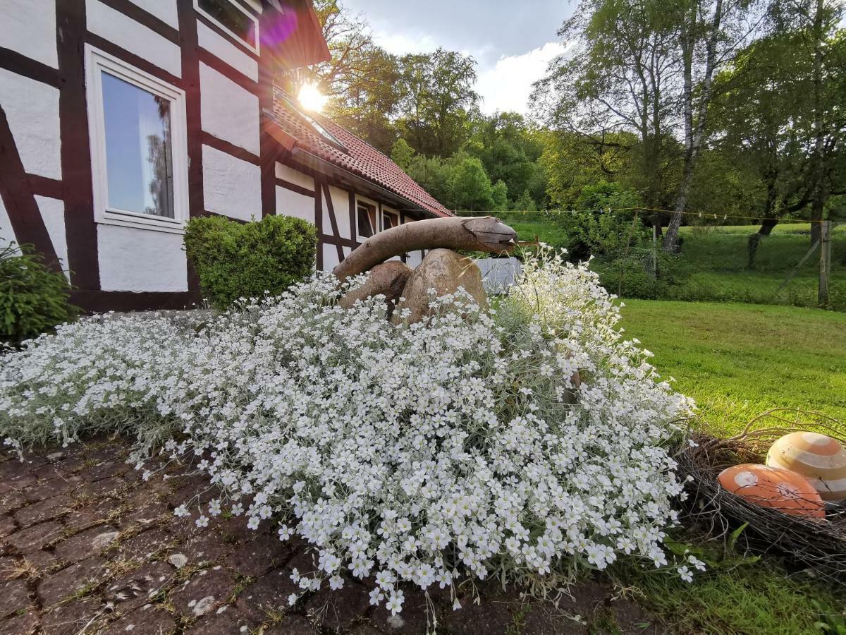 Ferienhof Ehlers Hulsede Buitenkant foto