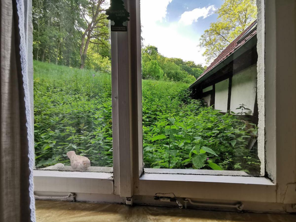 Ferienhof Ehlers Hulsede Buitenkant foto