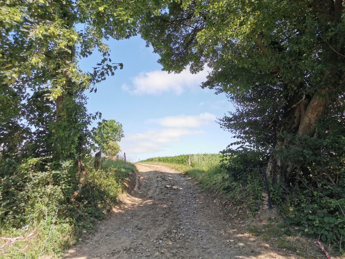 Ferienhof Ehlers Hulsede Buitenkant foto