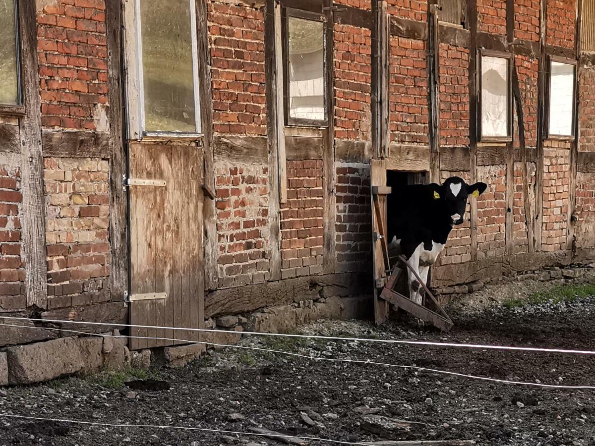 Ferienhof Ehlers Hulsede Buitenkant foto